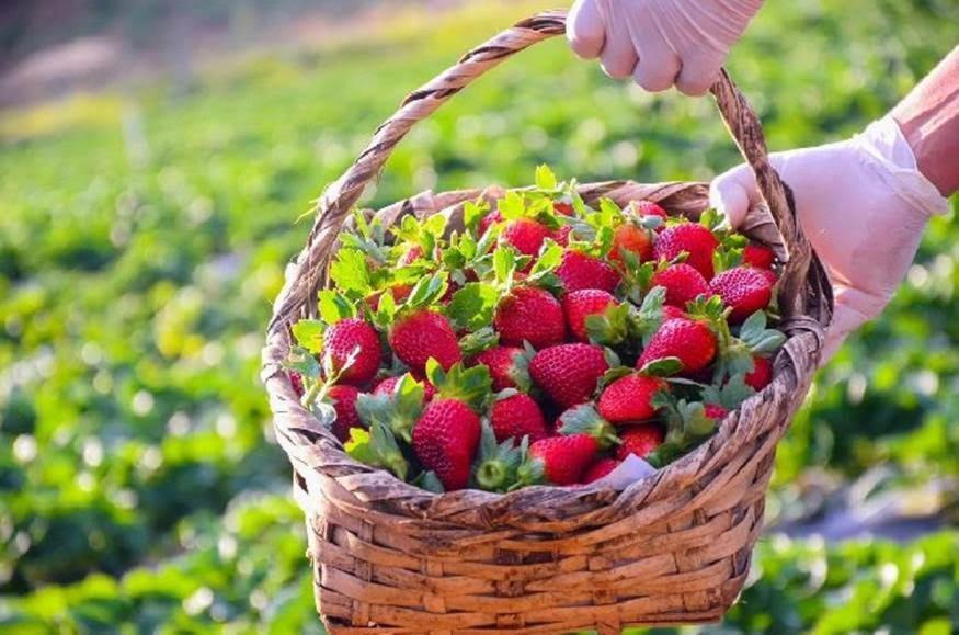Pousada Vale Das Maritacas Monte Alegre do Sul Εξωτερικό φωτογραφία